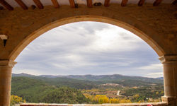 morella-8_edited