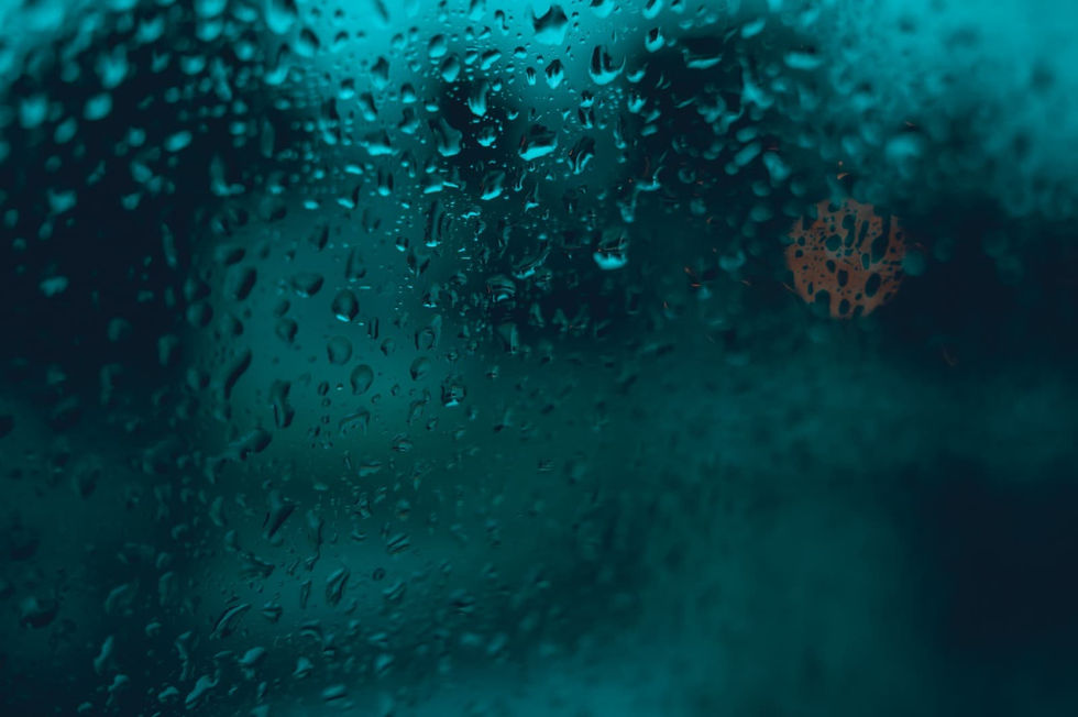 WhatsApp Image 2024-12-22 at 06.47.59 (1)