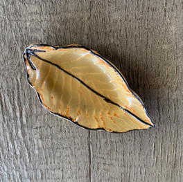$17 - Leaf #5