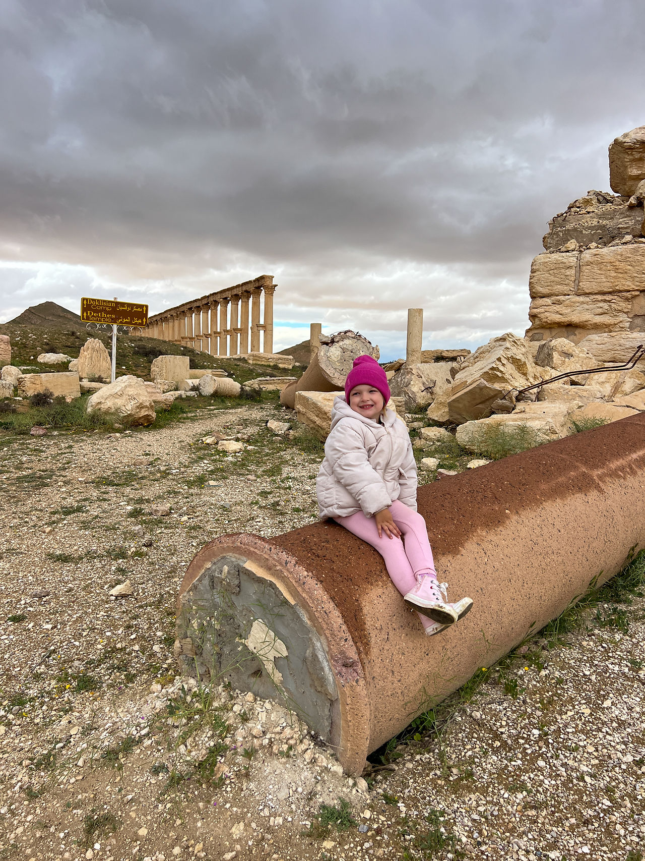 Palmyra