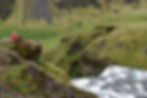 Islandia