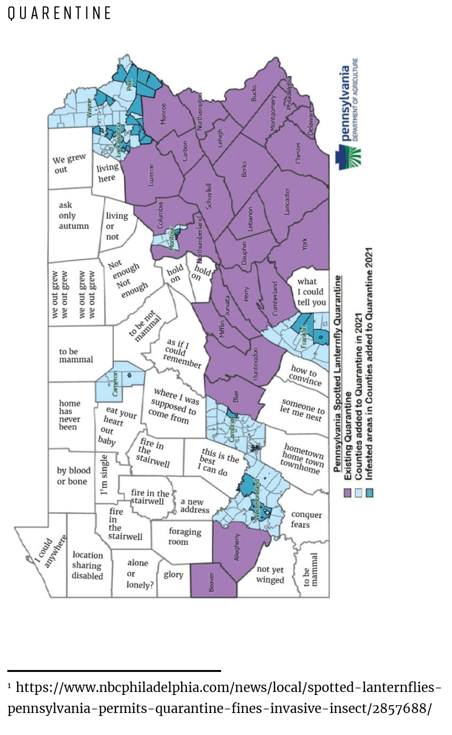 Thumbnail: Lanternfly August