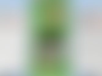 Neue Roll-ups für die Zimmerei Schwaighofer