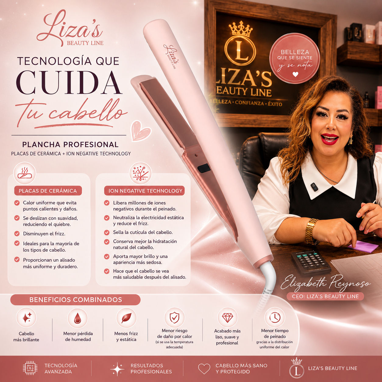 Plancha professional