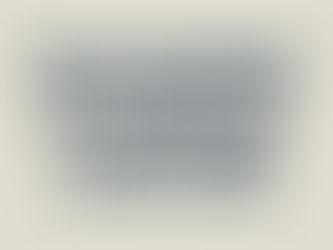 UPW Stands with Lt. Gov. Sylvia Luke