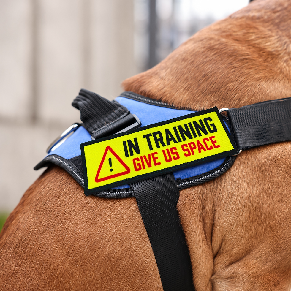 Thumbnail: In Training - Awareness Patch