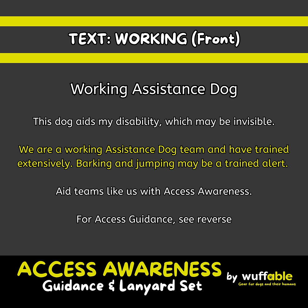 Thumbnail: Access Awareness Lanyard Set