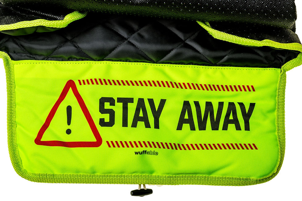 Thumbnail: Stay Away - Foldable Awareness Travel Mat