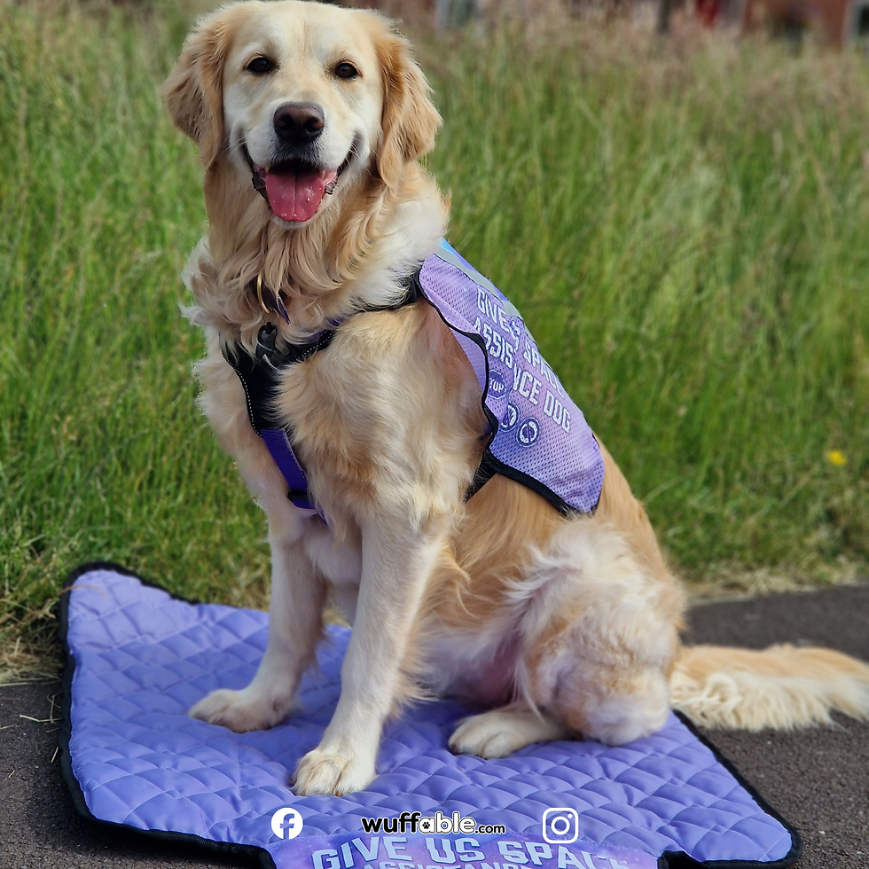 Thumbnail: Pre-Designed 'Lilac Cosmos' Vest