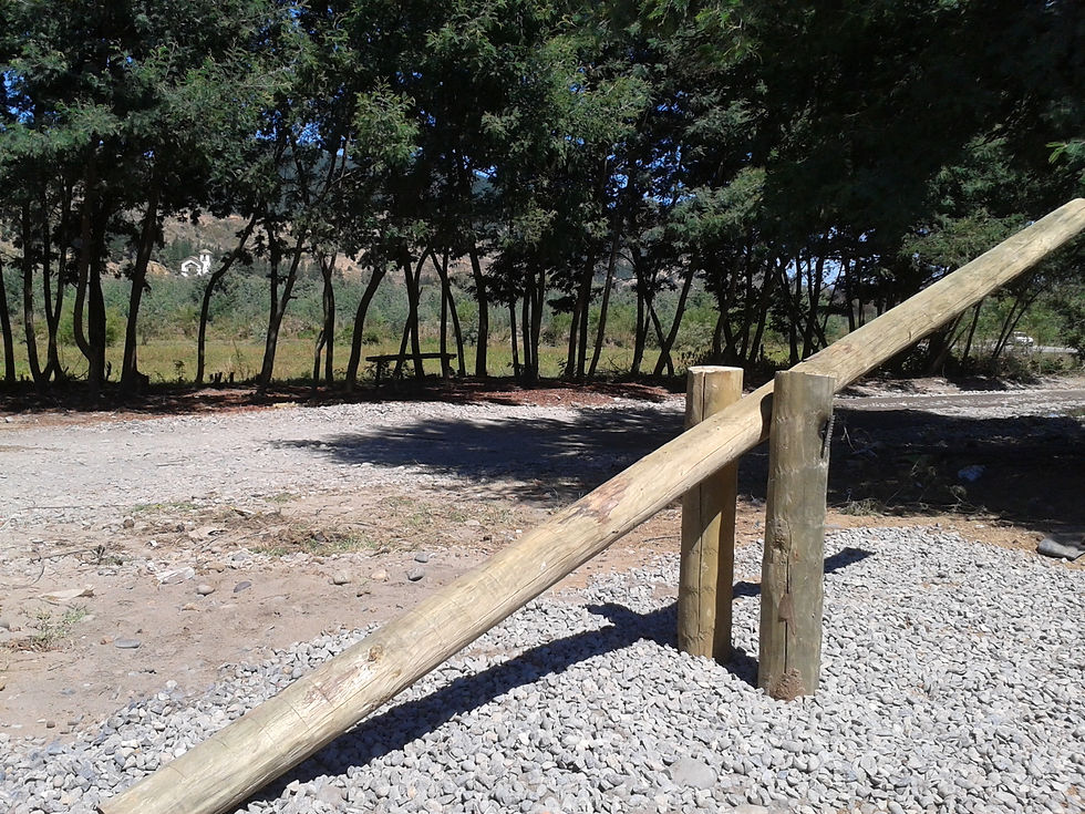 2015-03-08 12.52.14.jpg