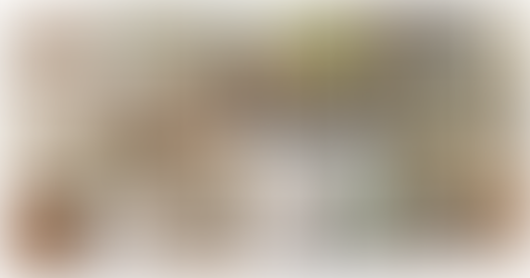 "Refresh Your Home with Magnolia.com's New Spring Arrivals | Shop Now!"