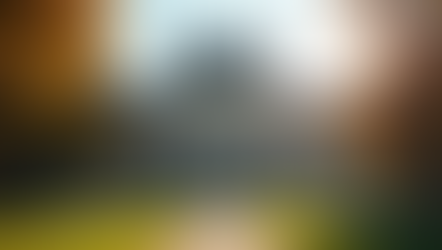 Germany's Free Education System Explained and How Our Company Can Assist You for Free