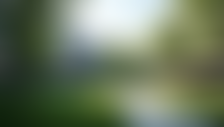 Success Story of Tabassum: How Think BIG Global Visa Consultancy Vizag Made Her Dream of Studying in Germany a Reality