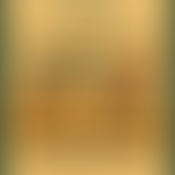 Winter 2025 Newsletter