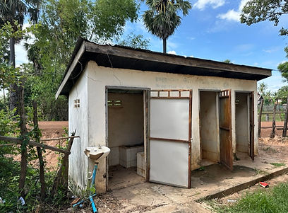 toilets to renovate.jpeg