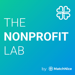 The Nonprofit Lab Logo