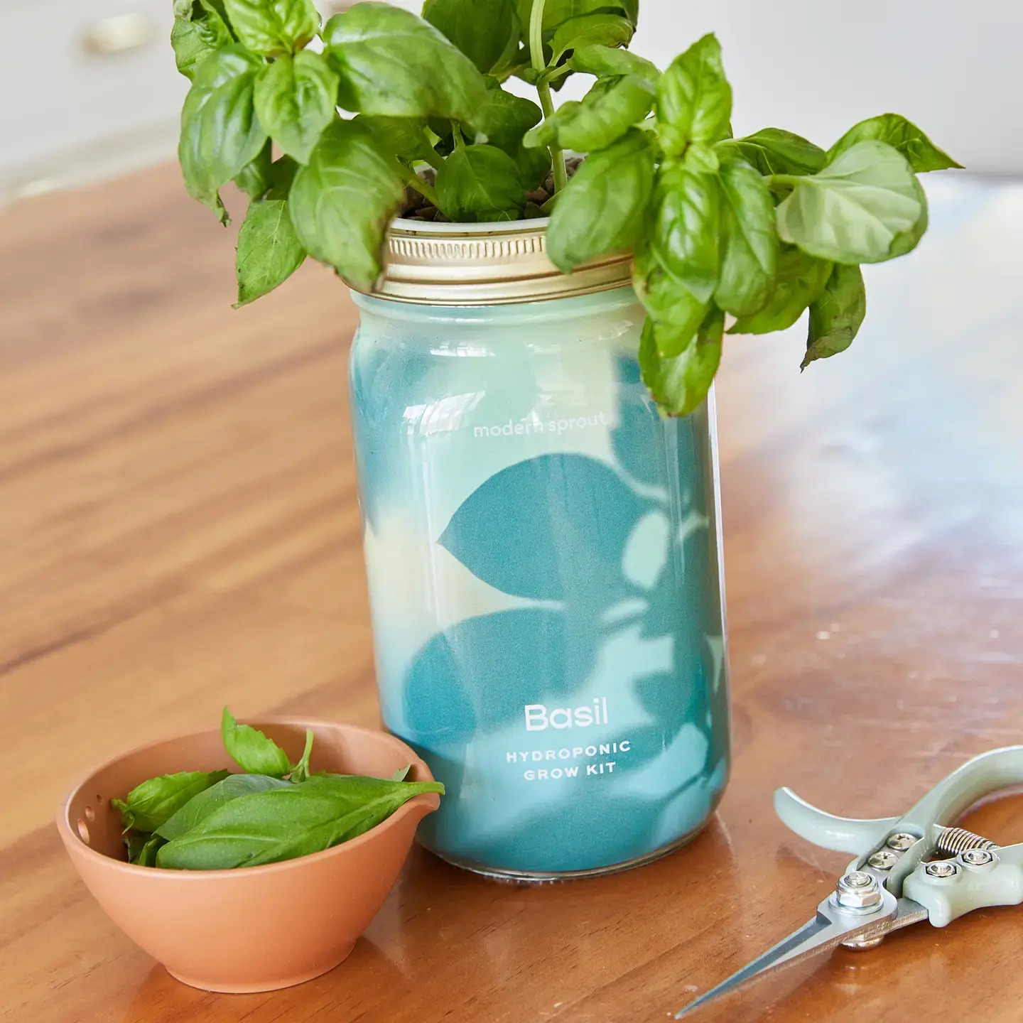 Herb Garden Jar - 3 options