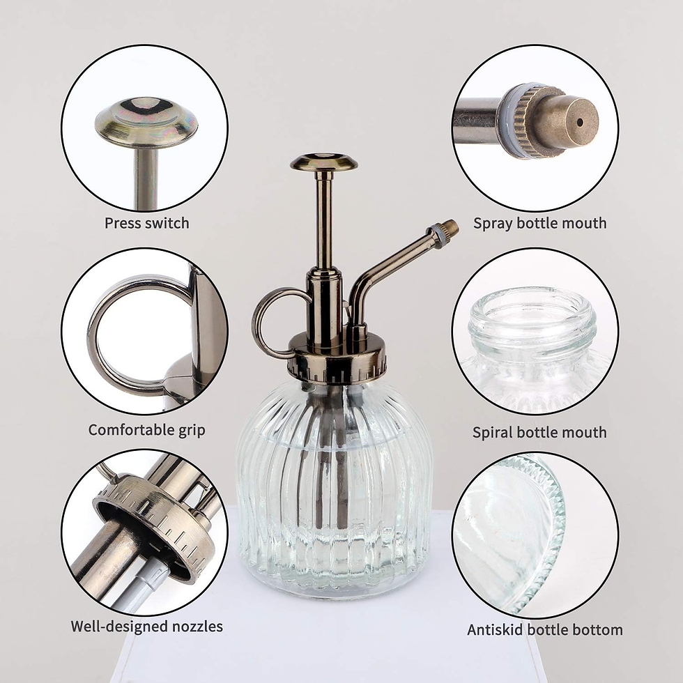 Thumbnail: Vintage Glass Plant Spray Bottle 