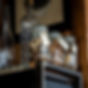 DSC01817-2.jpg