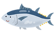 マグロ