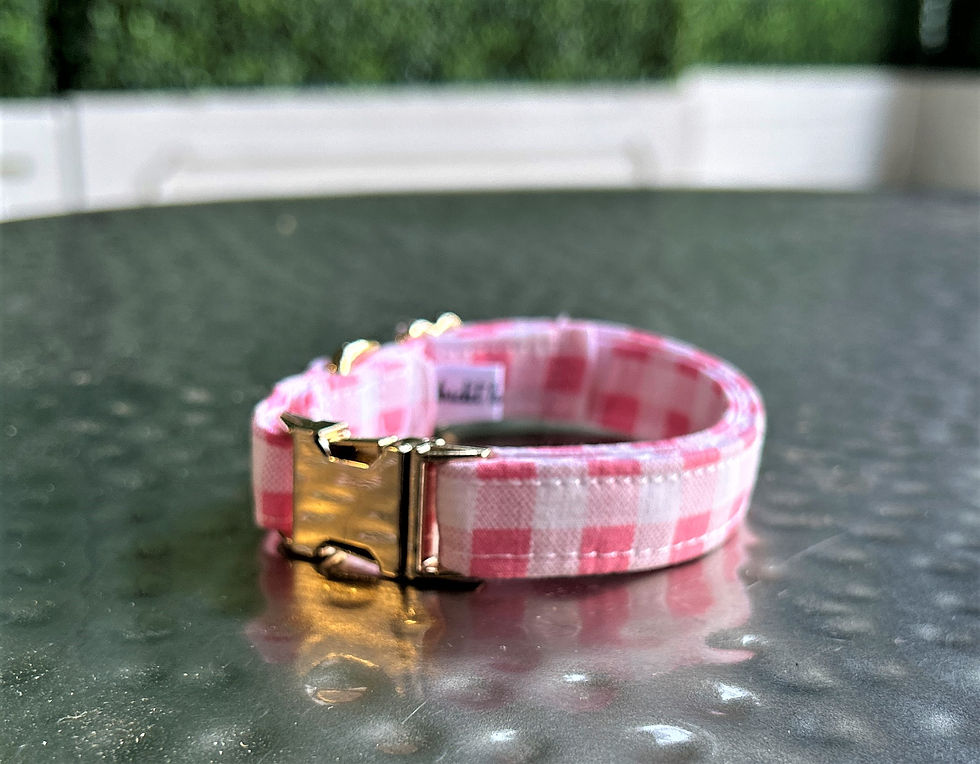 Thumbnail: Pink Gingham Dog Collar