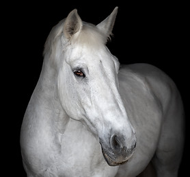 Gabby_IMG_0492_PRINTING (1).jpg