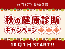 秋の健康診断キャンペーン