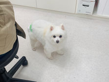 2025-2026冬季休診日のお知らせ