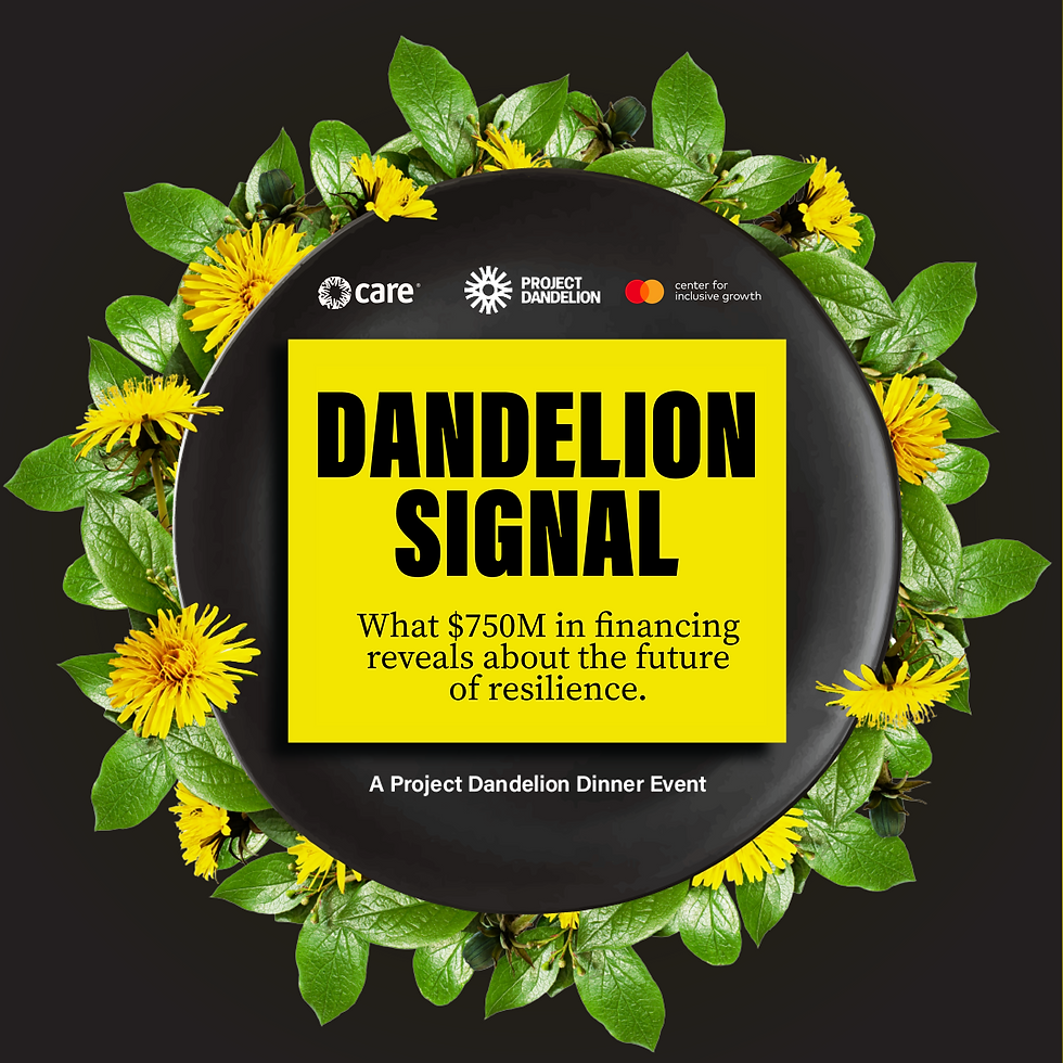 THE DANDELION SIGNAL