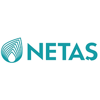 Netas_Logo-2.png