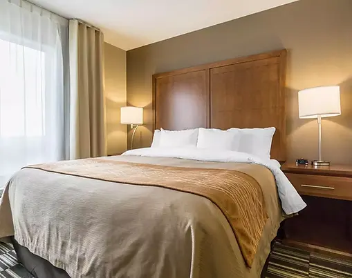 1 King Bed, Suite