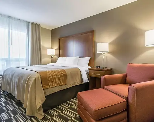 1 King Bed, Executive Room