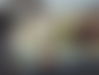 【解体前】前日、屋根へ