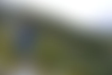 千畳敷カールでプチプチ登山