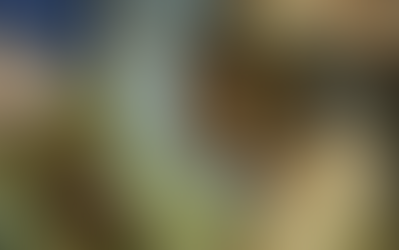 たき火ってなに。