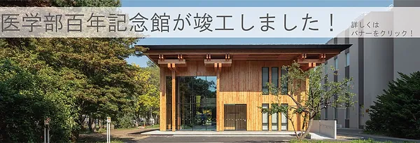 Home 5ko Design