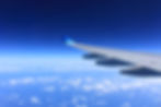 wing-221526.jpg