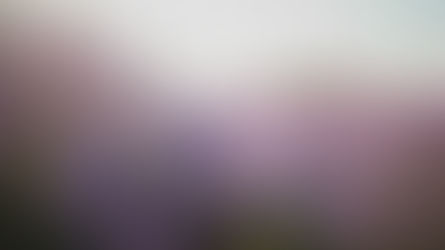 Guide to Lavender Magic