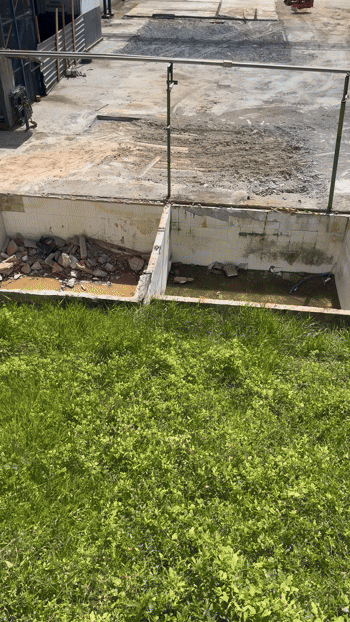 IMG_5552.gif