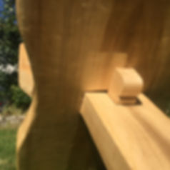 IMG_2625.jpeg