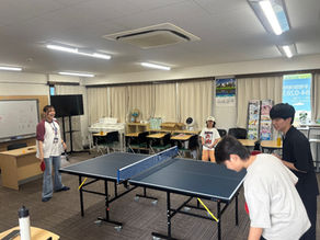 New卓球台🏓