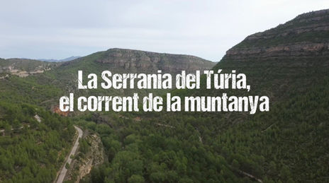 Comunicats els 50 seleccionats per participar en la segona edició d'Expedició Cavanilles