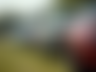 Discover Networking Benefits in Australia for Vehicle Owners and Automotive Enthusiasts