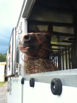 nitro in trailer 2.png