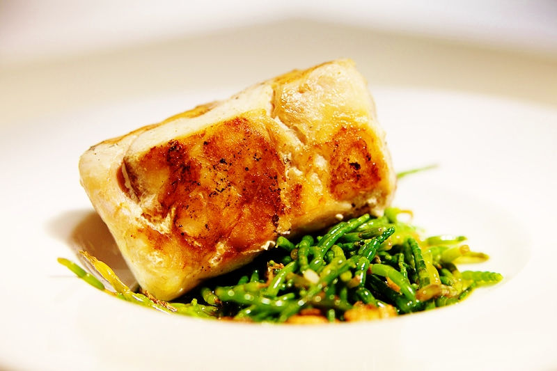 Miniatura: BROTES DE SALICORNIA