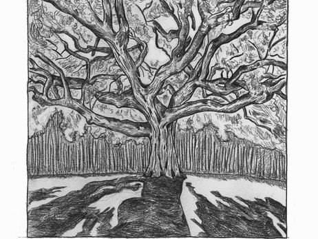 The Family Tree - The End