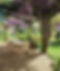glycine_edited.jpg
