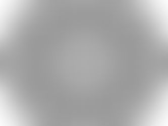 L'Universo allo specchio