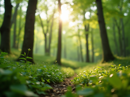 The Importance of Sustainable Living in Today's World
