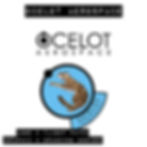 Logo & Branding Design